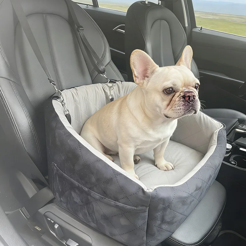 A cama para animais de estimação do carro pode aliviar o enjôo?