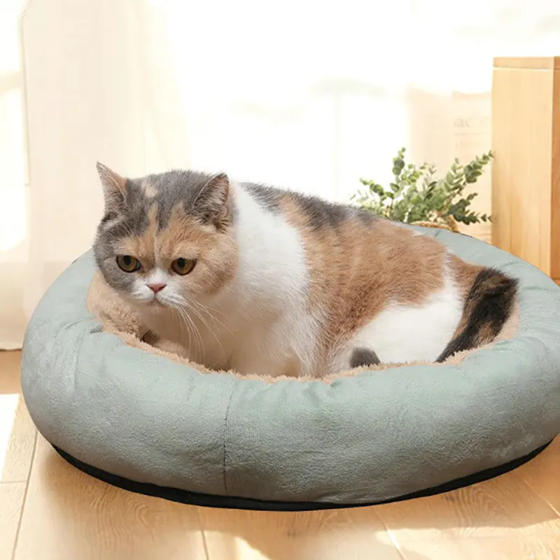 Como uma cama para animais de estimação melhora o conforto e a segurança do seu animal de estimação durante a viagem?
