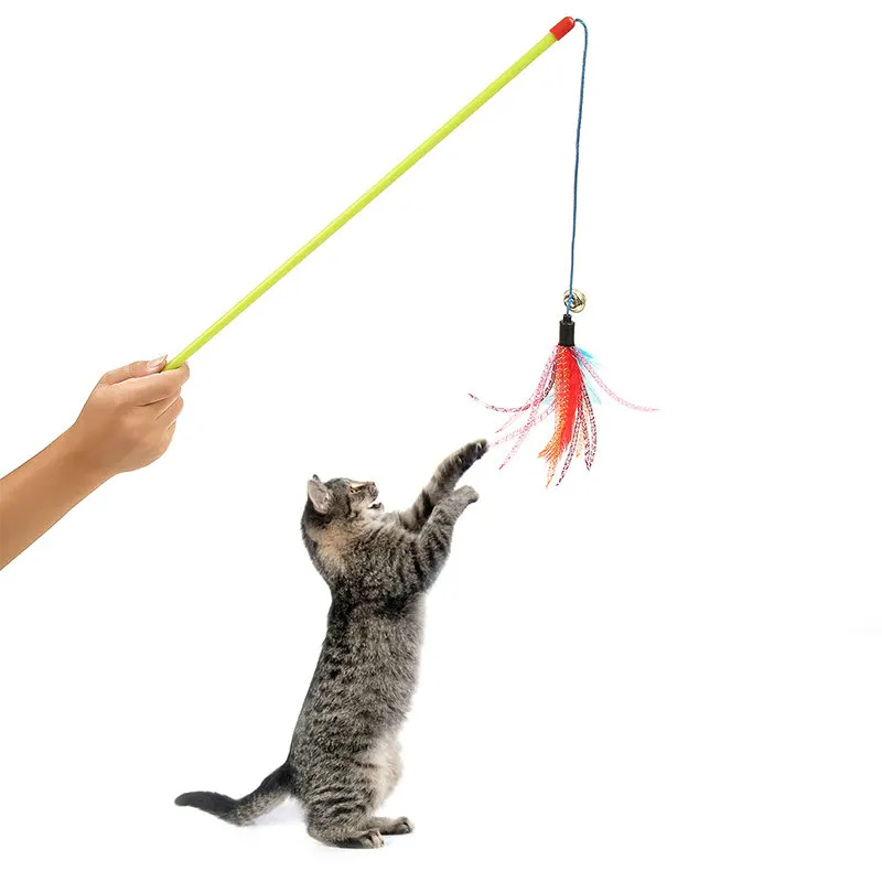 Varinha de gato de penas