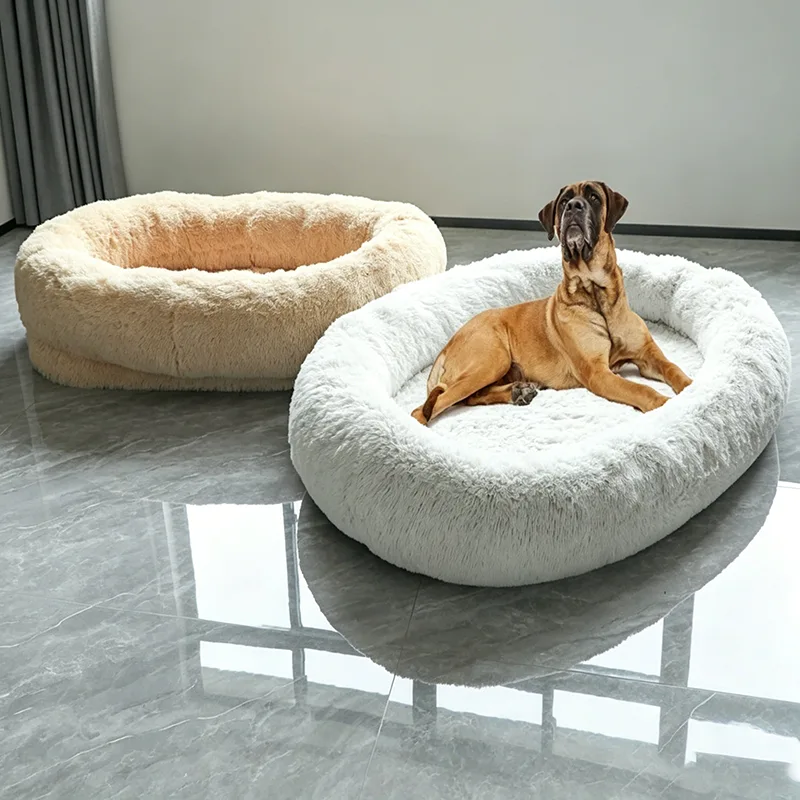 Dual-Use Sponge Bed for Humans and Dogs